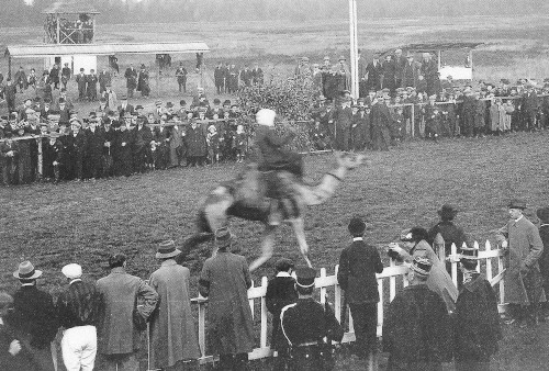 Hippodrome de la Sauvenière (Extrait de « Courses et exhibitions de chameaux à Spa en 1913 » H.A.S. de Mars 2004)